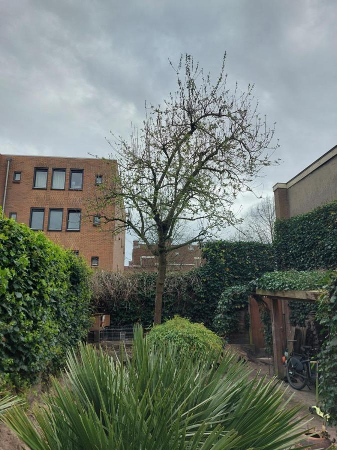 Saya Boutique Hotel Amersfoort Exterior foto